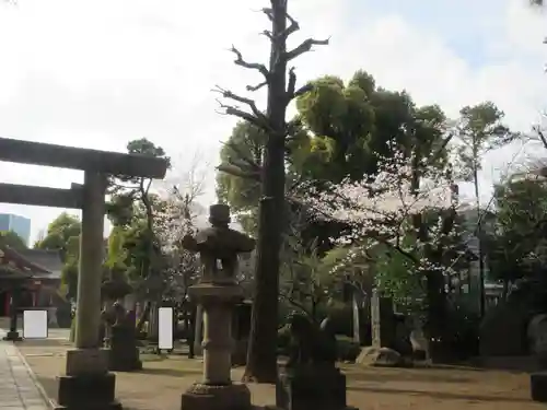 品川神社(東京都)