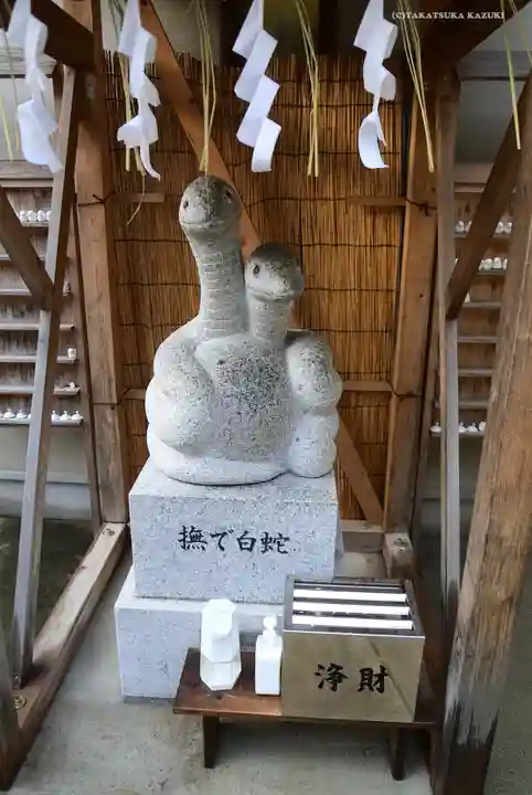 蛇窪神社の狛犬