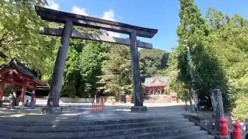 豊玉姫神社の鳥居