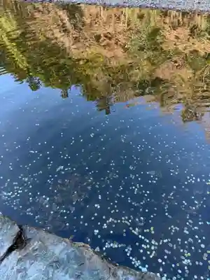 伊勢神宮内宮（皇大神宮）(三重県)