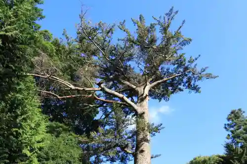 滑川神社 - 仕事と子どもの守り神の自然