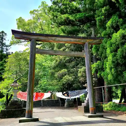 井伊谷宮の鳥居