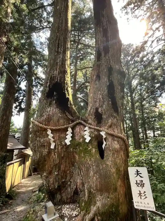 玉置神社(奈良県)