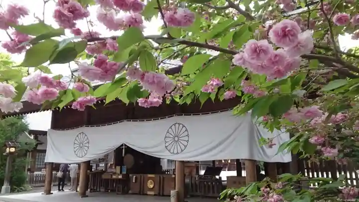 阿佐ヶ谷神明宮(東京都)