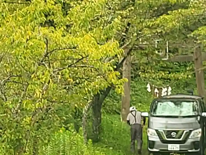 八幡神社(宮城県)