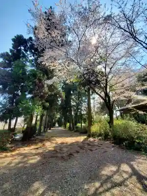 千代ケ岡八幡宮(栃木県)