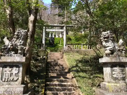 秩父御嶽神社の狛犬