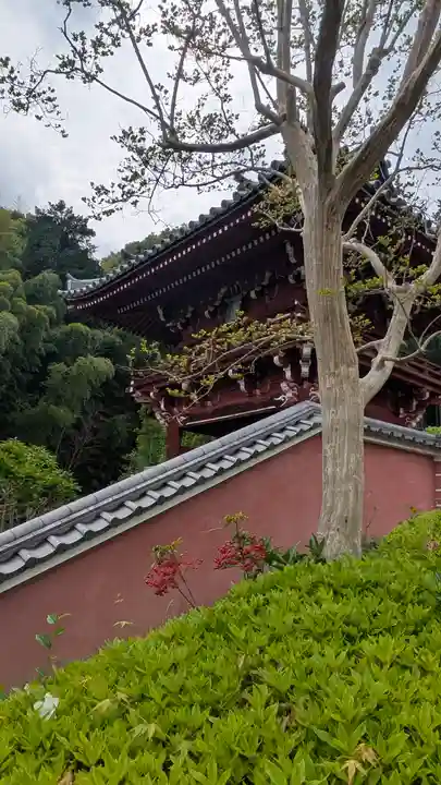 當麻寺奥院(奈良県)