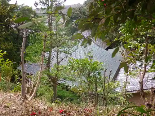 浄光明寺の自然