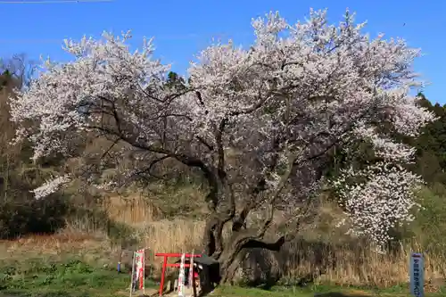 宇賀神さまの庭園