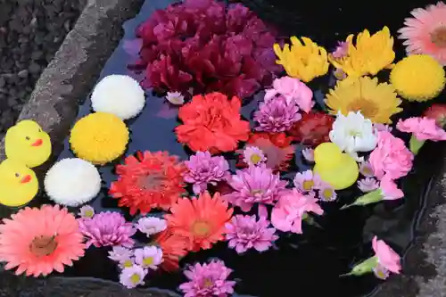 大鏑神社の手水