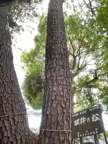 寿恵野神社(愛知県)