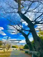 金村別雷神社の建物その他