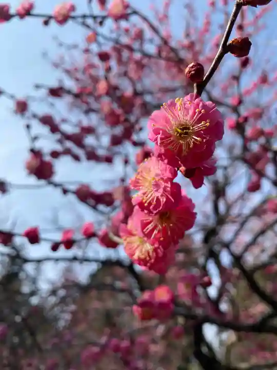 芳賀天満宮(栃木県)