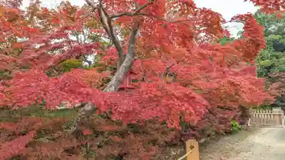 鍬山神社(京都府)