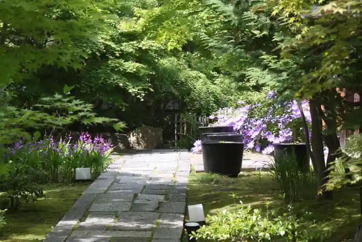 勝林寺(京都府)