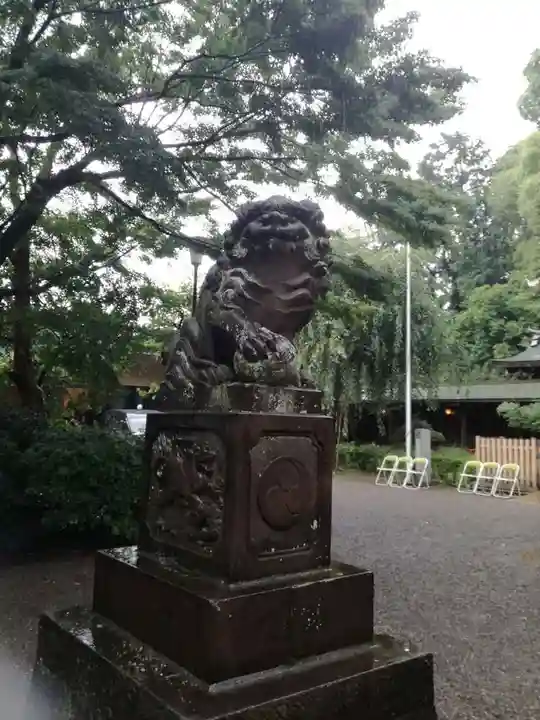 代々木八幡宮の狛犬