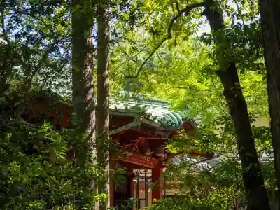 赤坂氷川神社(東京都)