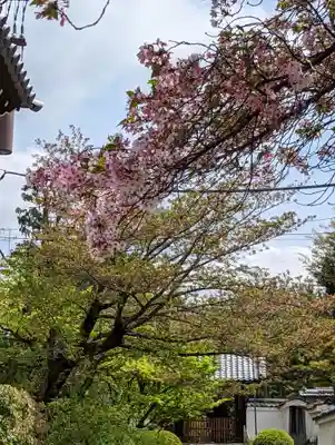 建仁寺（建仁禅寺）(京都府)