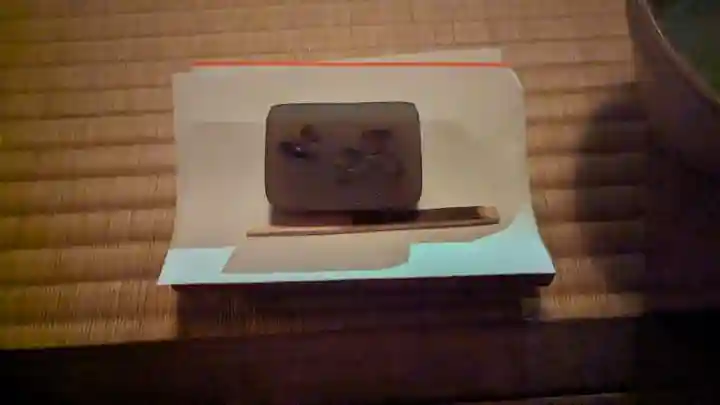 東林院(京都府)