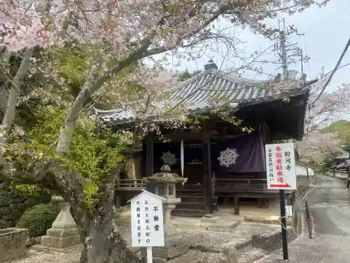 粉河寺の{uncategorized: "未分類", other: "その他", undefined: "問題あり", building: "その他建物", grave: "お墓", sacred_gate: "鳥居", guardian: "狛犬", statue: "像", buddha: "仏像", history: "歴史", nature: "自然", garden: "庭園", animal: "動物", pagoda: "塔", temizu: "手水舎", mountain_gate: "山門・神門", sanctuary: "本殿・本堂", subordinate: "末社・摂社", art: "芸術", scenery: "景色", jizo: "地蔵", ema: "絵馬", goshuin: "御朱印", omikuji: "おみくじ", items: "授与品その他", amulet: "お守り", goshuincho: "御朱印帳", eats: "食事", festival: "お祭り", votive_dance: "神楽", shichigosan: "七五三参", wedding: "結婚式", experience: "体験その他", initially: "初詣", around: "周辺", anti_infection: "感染症対策"}
