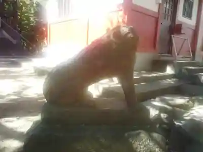 浅草寺の狛犬