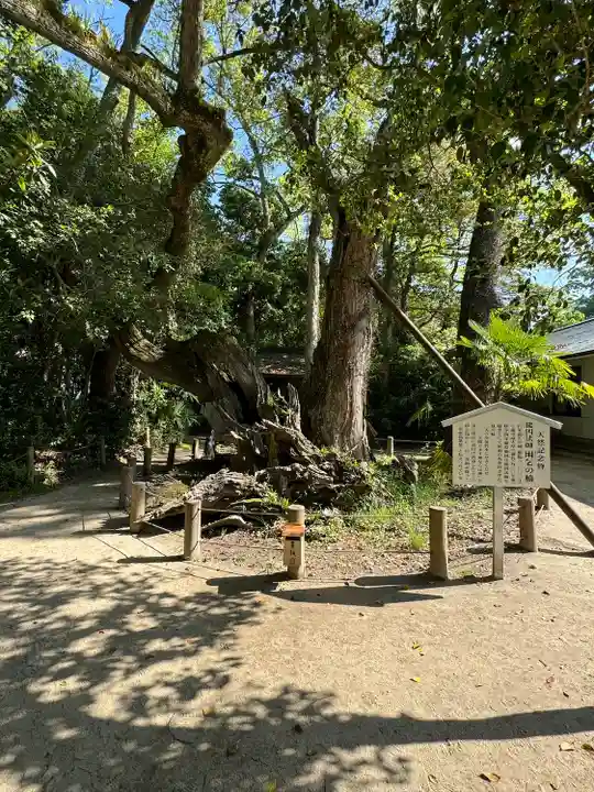 大山祇神社(愛媛県)