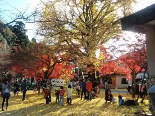 桃太郎神社（栗栖）の庭園