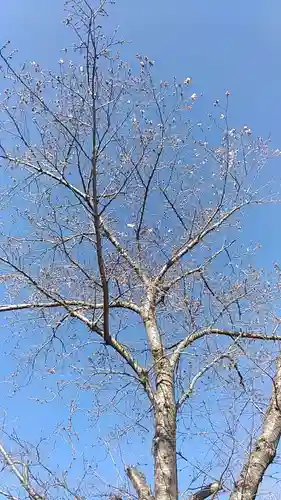 比佐豆知神社(三重県)