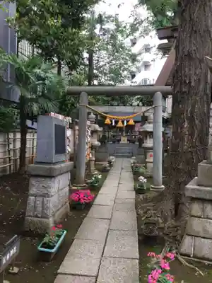 高円寺氷川神社の鳥居