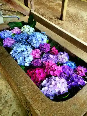 稲荷神社(愛知県)