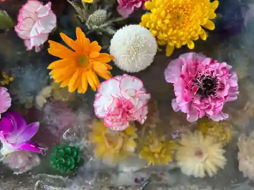 札幌諏訪神社の手水