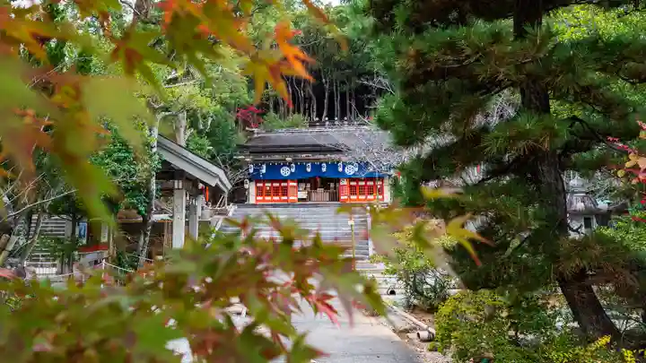 淵神社(長崎県)