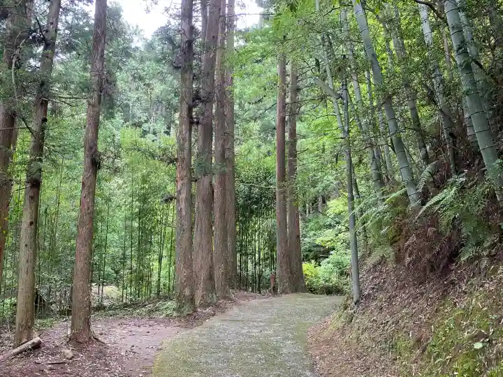 七渕神社(高知県)