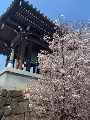 石上寺(埼玉県)