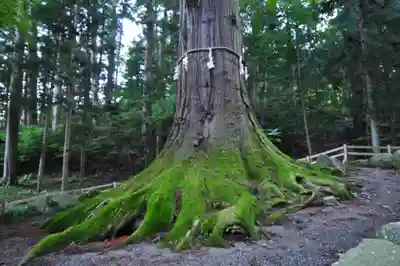 河口浅間神社(山梨県)