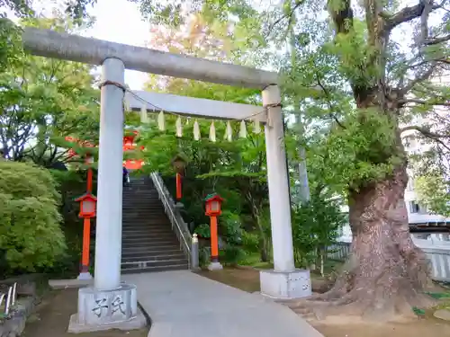 穴八幡宮の鳥居