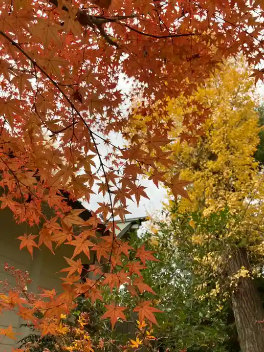 稗田神社の本殿・本堂