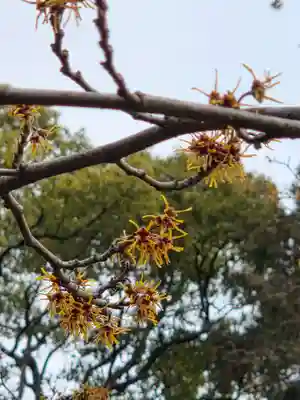沙沙貴神社(滋賀県)