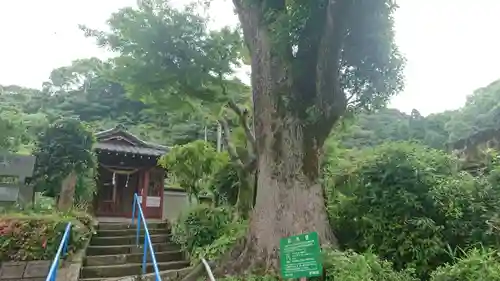 田上八幡神社の建物その他