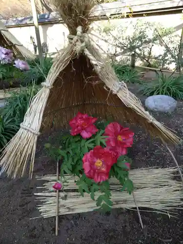 筥崎宮(福岡県)