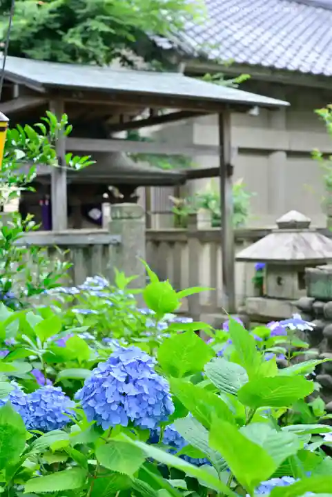 白山神社(東京都)