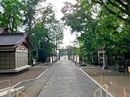 旭川神社の景色