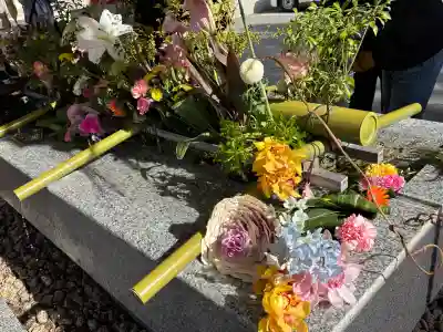 生田神社の{uncategorized: "未分類", other: "その他", undefined: "問題あり", building: "その他建物", grave: "お墓", sacred_gate: "鳥居", guardian: "狛犬", statue: "像", buddha: "仏像", history: "歴史", nature: "自然", garden: "庭園", animal: "動物", pagoda: "塔", temizu: "手水舎", mountain_gate: "山門・神門", sanctuary: "本殿・本堂", subordinate: "末社・摂社", art: "芸術", scenery: "景色", jizo: "地蔵", ema: "絵馬", goshuin: "御朱印", omikuji: "おみくじ", items: "授与品その他", amulet: "お守り", goshuincho: "御朱印帳", eats: "食事", festival: "お祭り", votive_dance: "神楽", shichigosan: "七五三参", wedding: "結婚式", experience: "体験その他", initially: "初詣", around: "周辺", anti_infection: "感染症対策"}