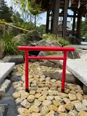 白鷺神社の鳥居