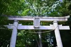 指扇氷川神社(埼玉県)