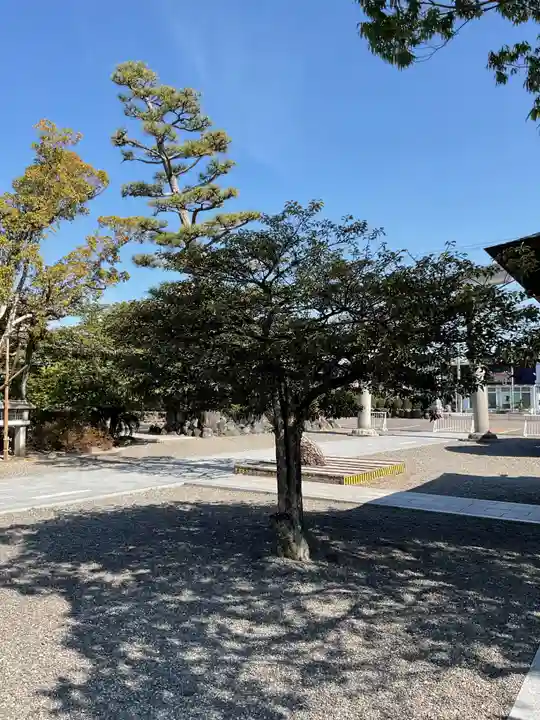 田縣神社(愛知県)