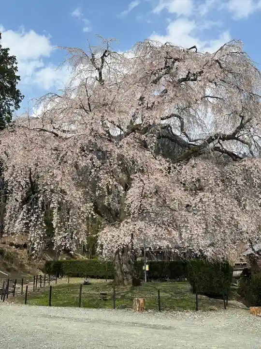 妙祐寺(福井県)