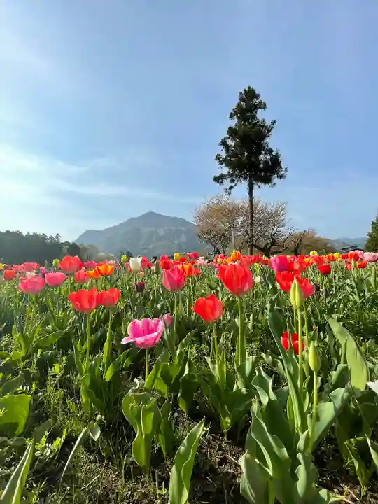 葛葉稲荷神社(埼玉県)
