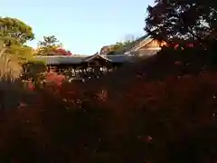 霊源院の建物その他